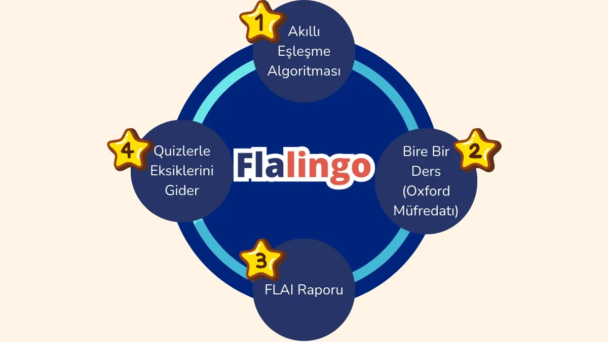 flalingo-2023-incelemesi-ingilizce-ogrenmek-icin-iyi-bir-secenek-mi.webp