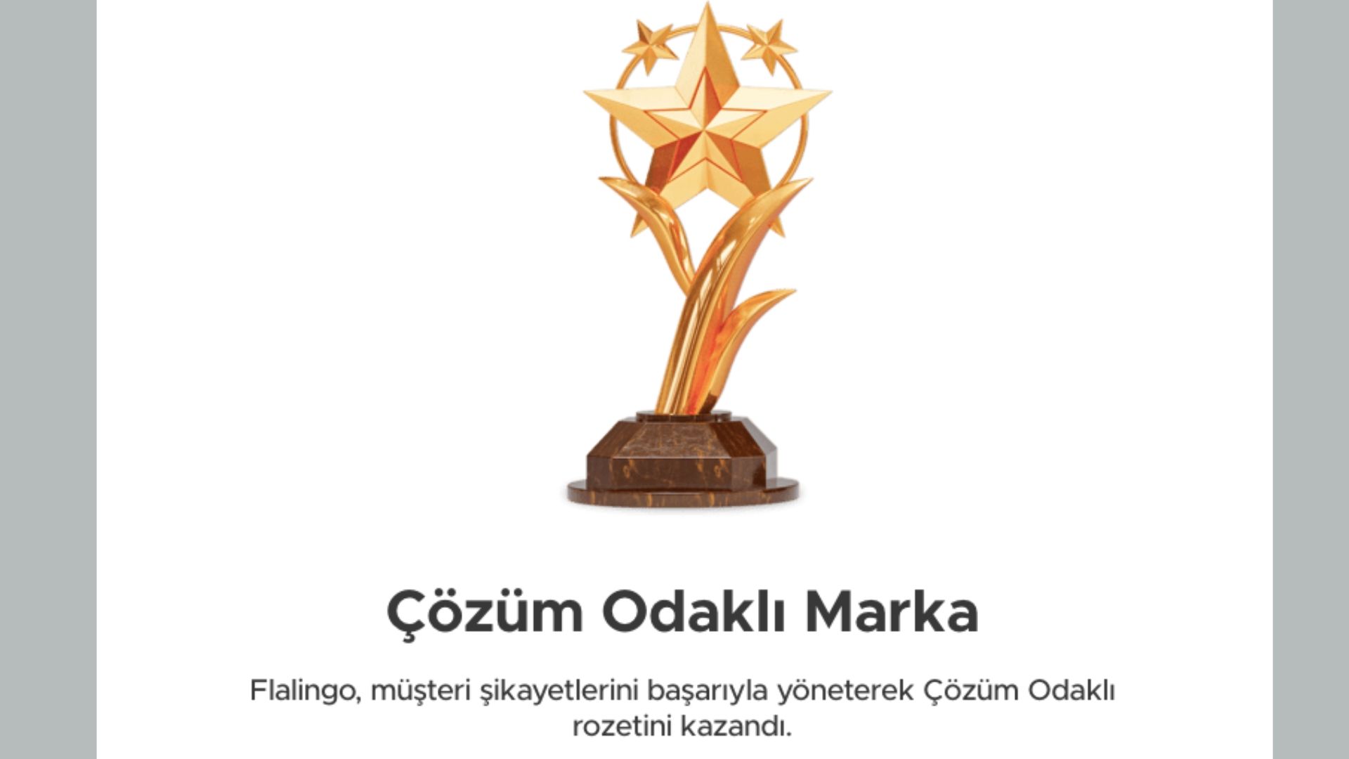 flalingo-deneyim-ve-kullanici-yorumlari-1.jpg