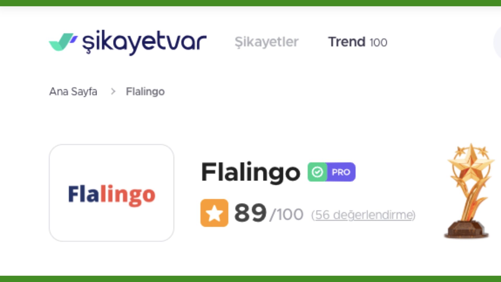 flalingo-deneyim-ve-kullanici-yorumlari.jpg