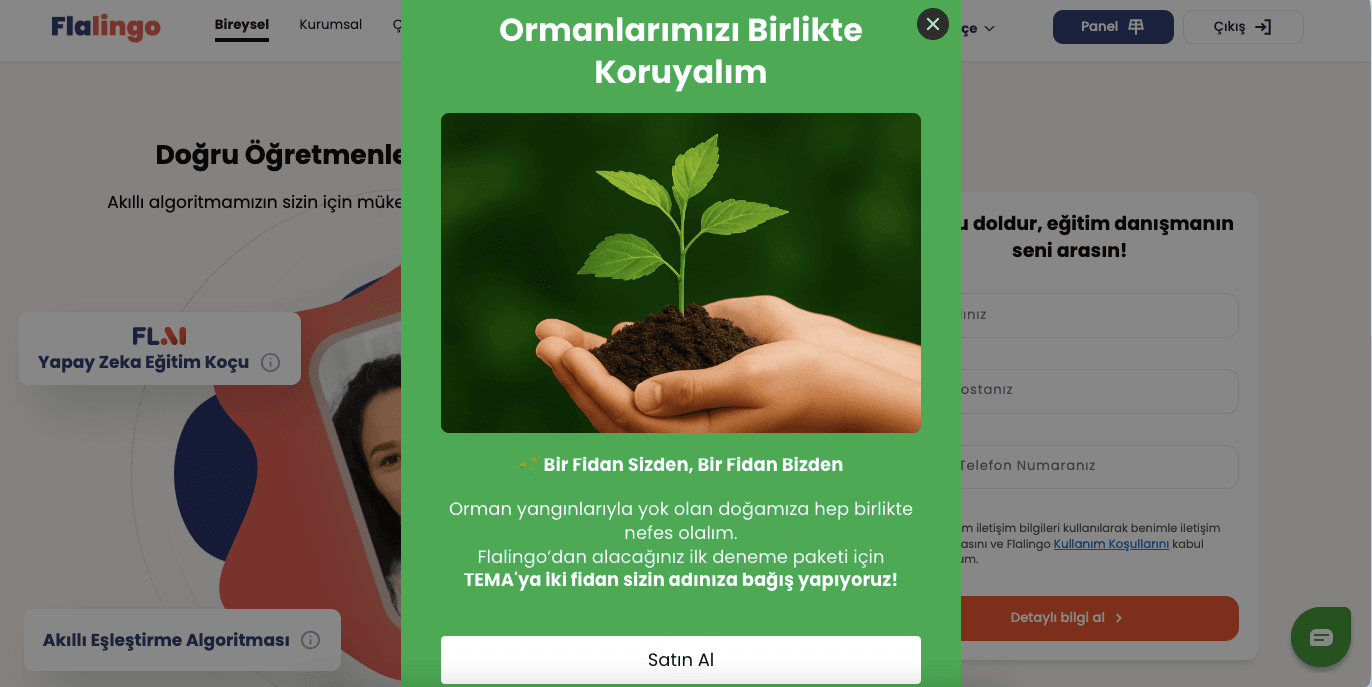 flalingo-fiyat-listesi.png