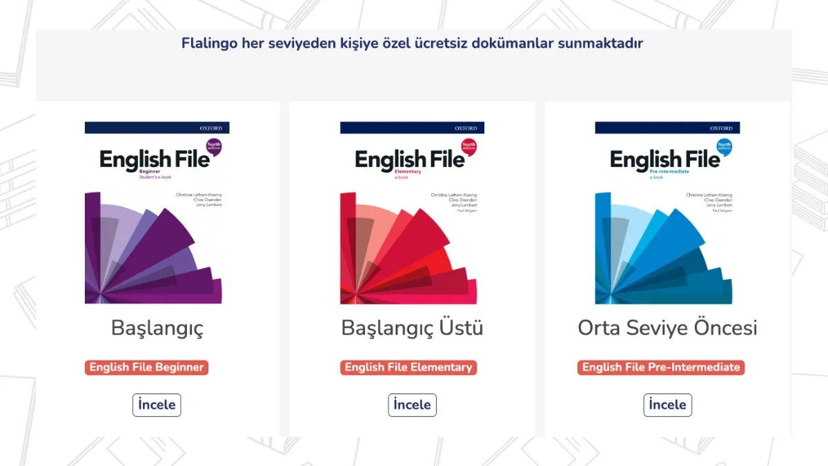flalingo-fiyatlari-ne-kadar-verilen-ucrete-deger-mi (3).webp