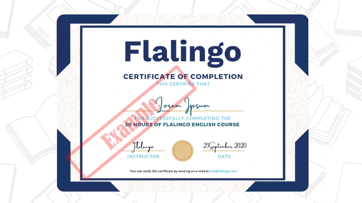 flalingo-fiyatlari-ne-kadar-verilen-ucrete-deger-mi (4).webp