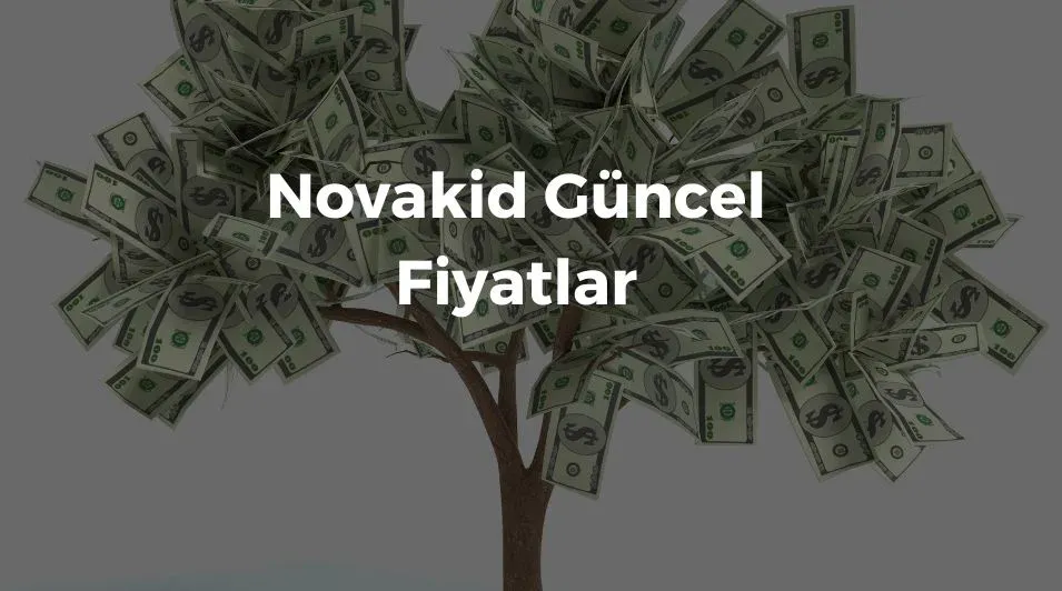 Novakids deneme dersleri deneyimleri ve ders ücretleri